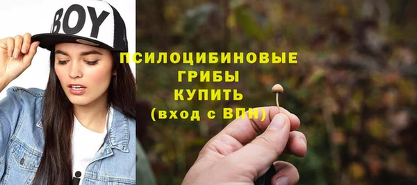 дживик Баксан