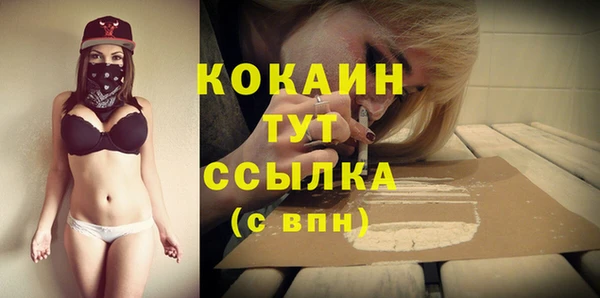 дживик Баксан