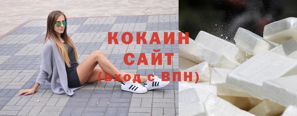 прущие грибы Балахна