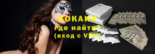 прущие грибы Балахна