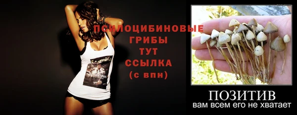 прущие грибы Балахна