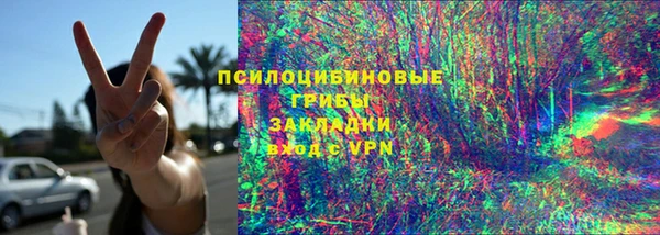 прущие грибы Балахна