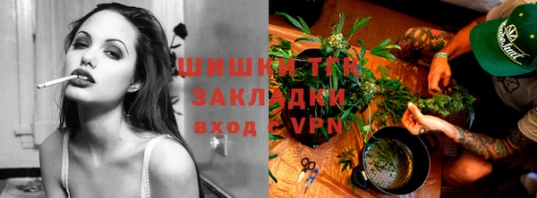 прущие грибы Балахна