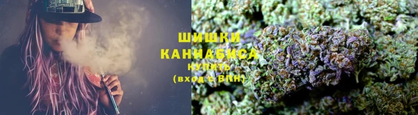 прущие грибы Балахна